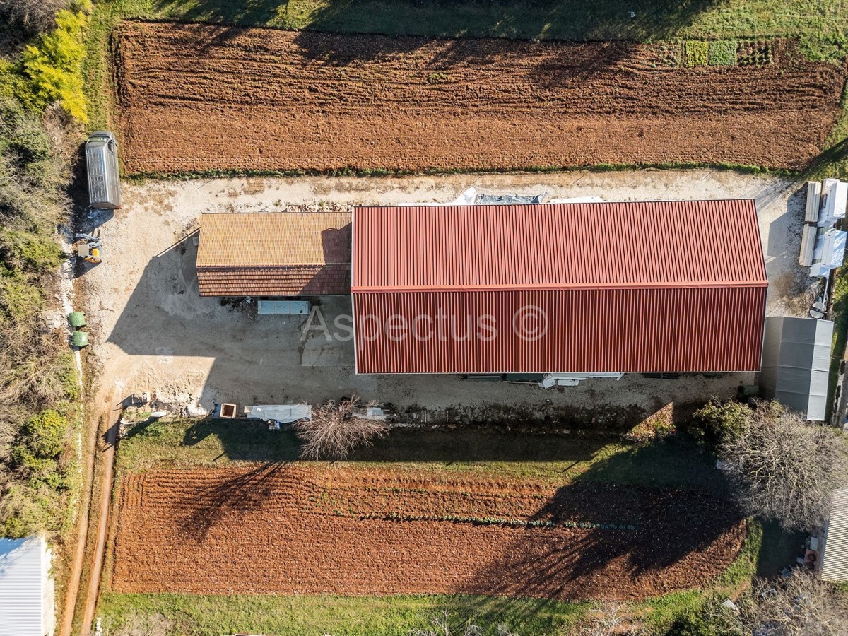 Edificio commerciale-residenziale, sala polifunzionale, Svetvinčenat, Čabrunići, Istria