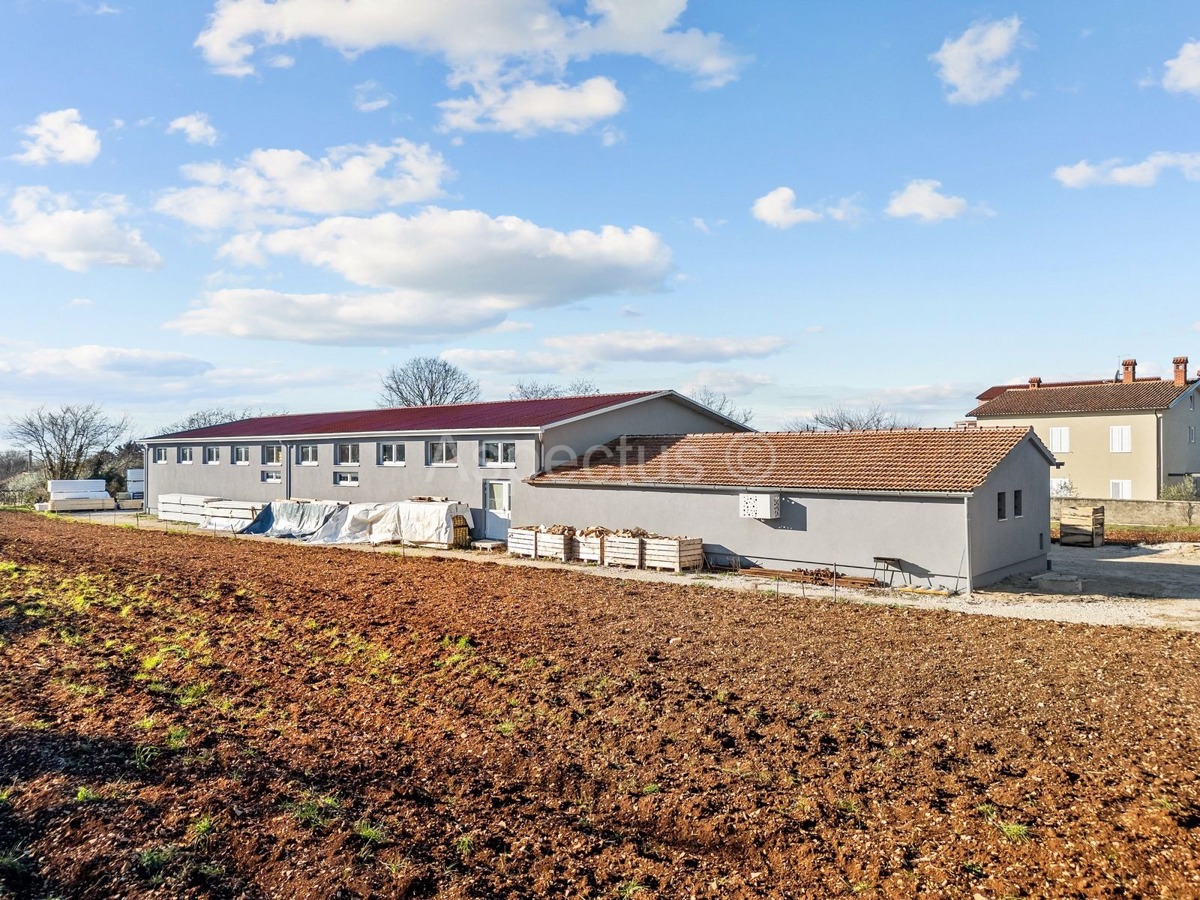 Edificio commerciale-residenziale, sala polifunzionale, Svetvinčenat, Čabrunići, Istria