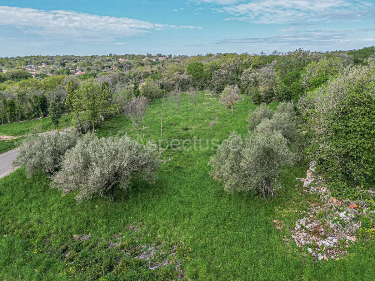 Građevinsko zemljište za izgradnju više kuća, Marčana