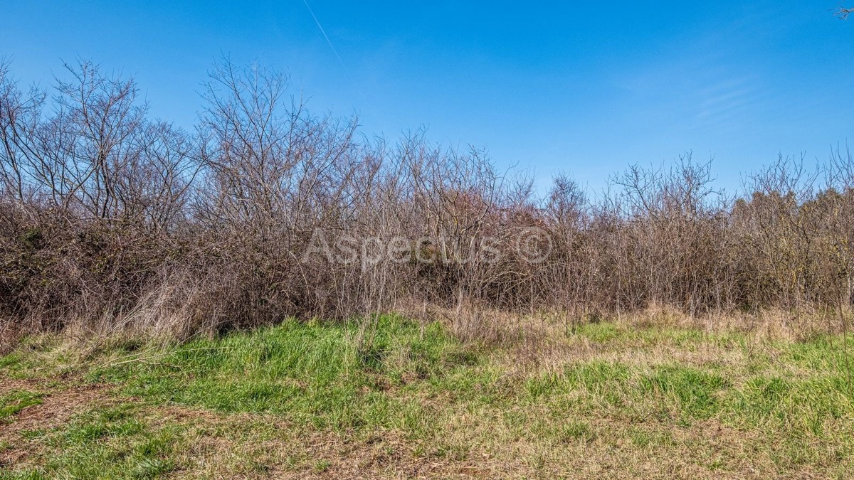 TTerreno edificabile lungo una strada asfaltata + Casa in pietra, zona di Rovigno, Istria