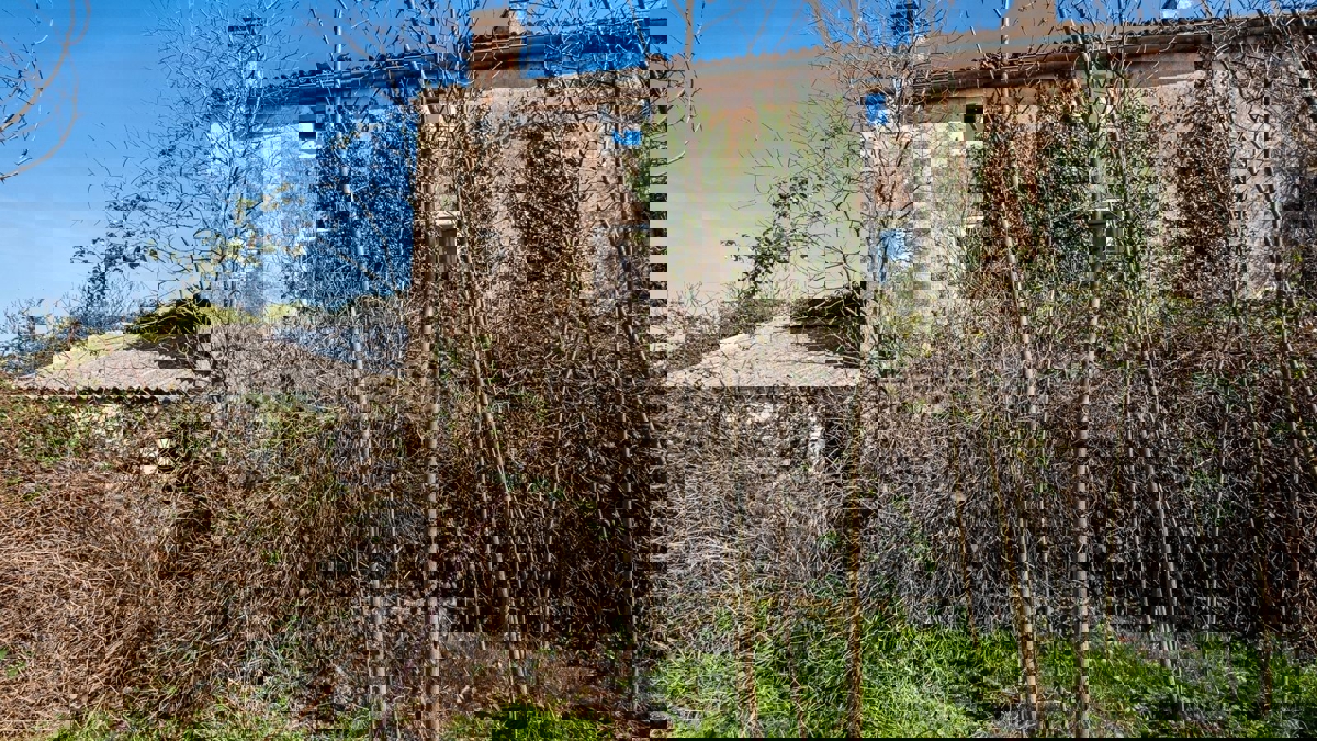 TTerreno edificabile lungo una strada asfaltata + Casa in pietra, zona di Rovigno, Istria