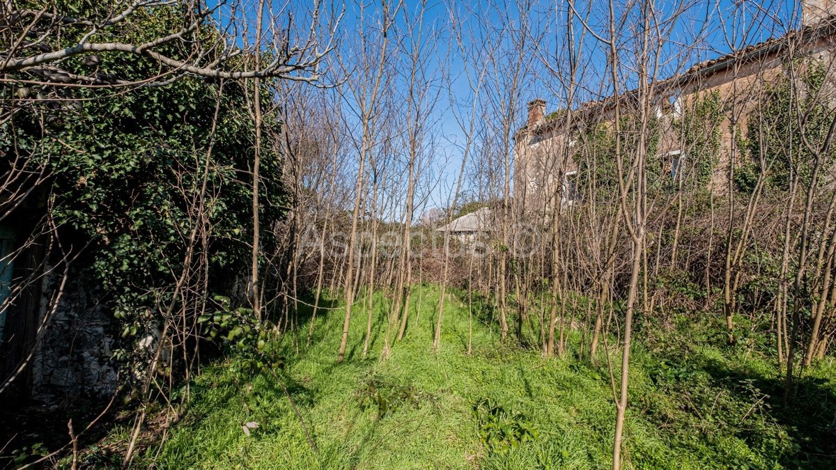 TTerreno edificabile lungo una strada asfaltata + Casa in pietra, zona di Rovigno, Istria