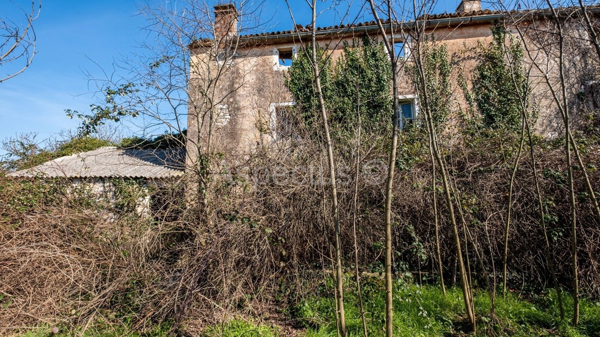 TTerreno edificabile lungo una strada asfaltata + Casa in pietra, zona di Rovigno, Istria