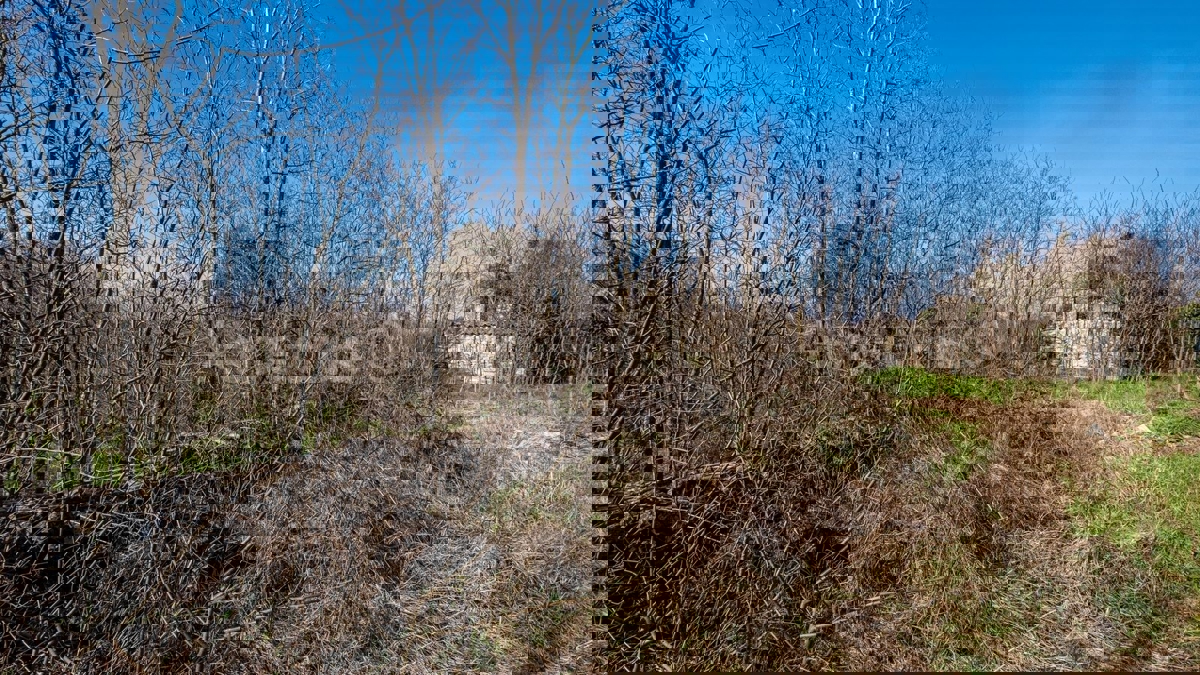 TTerreno edificabile lungo una strada asfaltata + Casa in pietra, zona di Rovigno, Istria