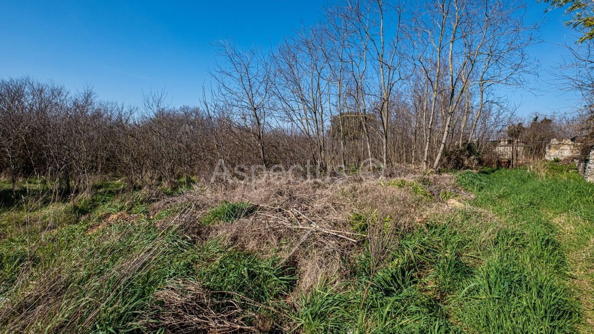 TTerreno edificabile lungo una strada asfaltata + Casa in pietra, zona di Rovigno, Istria