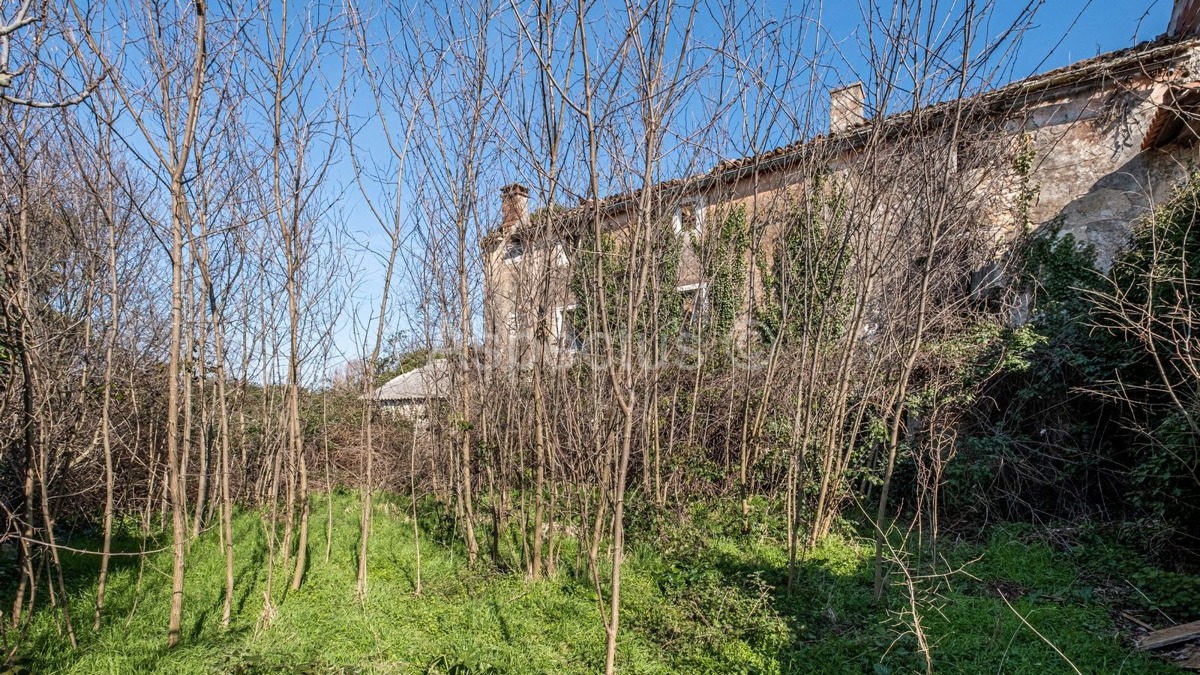 TTerreno edificabile lungo una strada asfaltata + Casa in pietra, zona di Rovigno, Istria