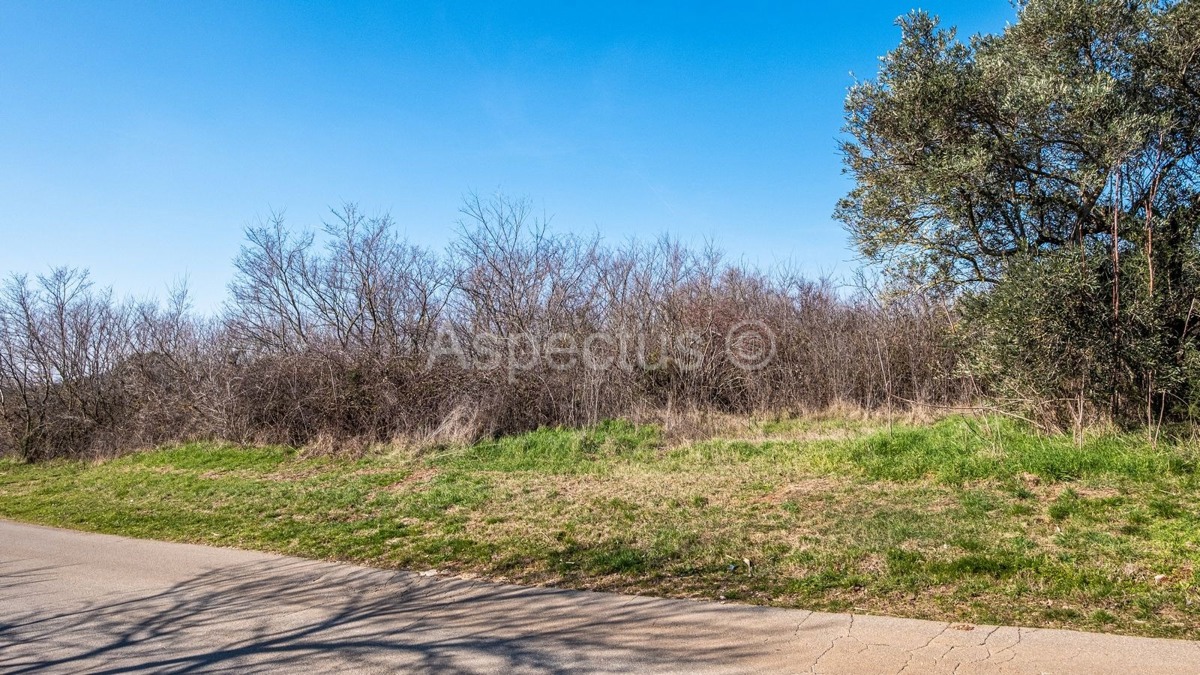 TTerreno edificabile lungo una strada asfaltata + Casa in pietra, zona di Rovigno, Istria