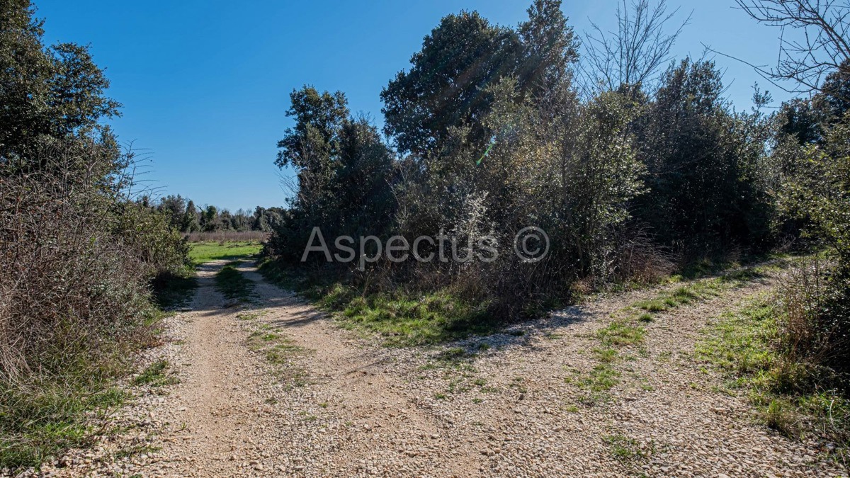 Terreno per una casa di villeggiatura o investimento – Šišan, posizione tranquilla!