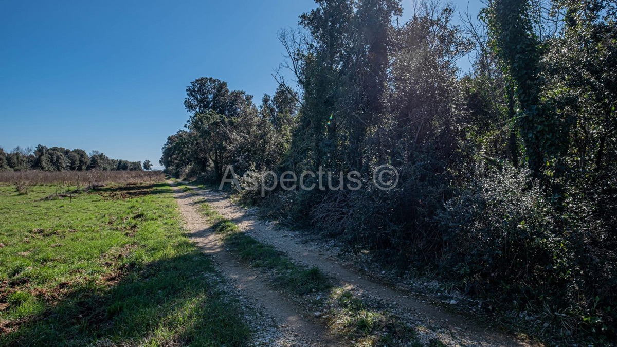 Terreno per una casa di villeggiatura o investimento – Šišan, posizione tranquilla!