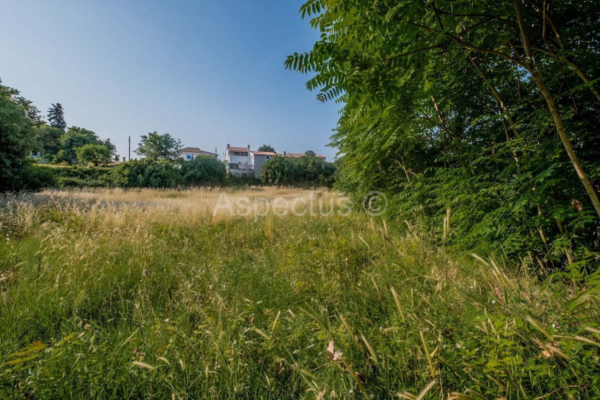 Građevinsko zemljište 3004 m2, Vodnjan