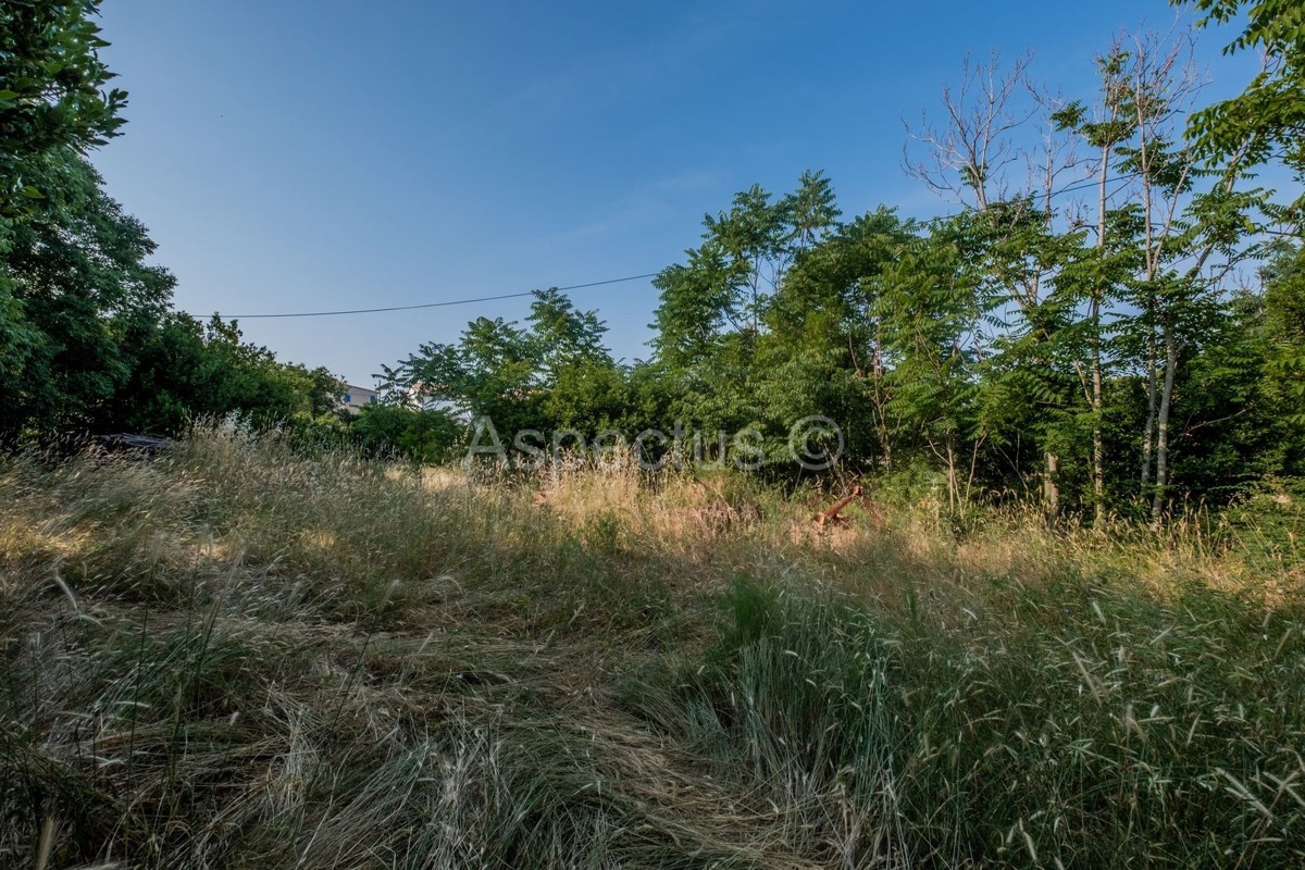 Građevinsko zemljište 3004 m2, Vodnjan