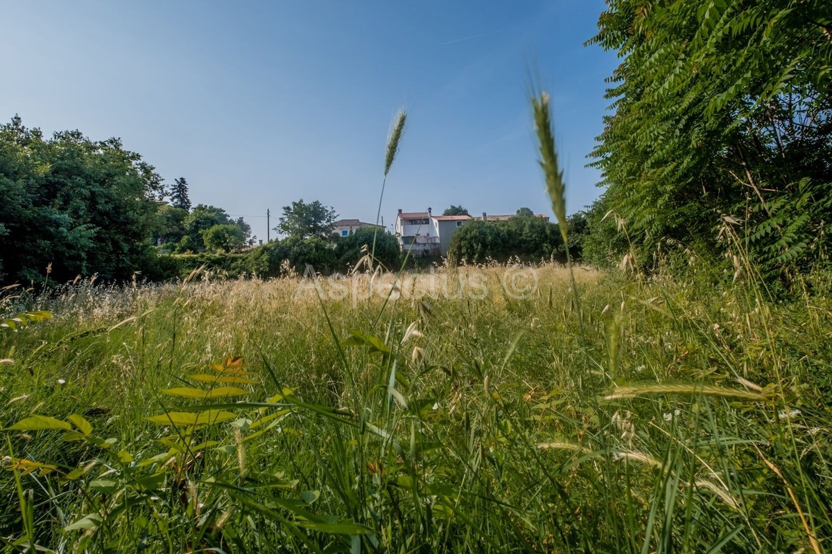 Građevinsko zemljište 3004 m2, Vodnjan