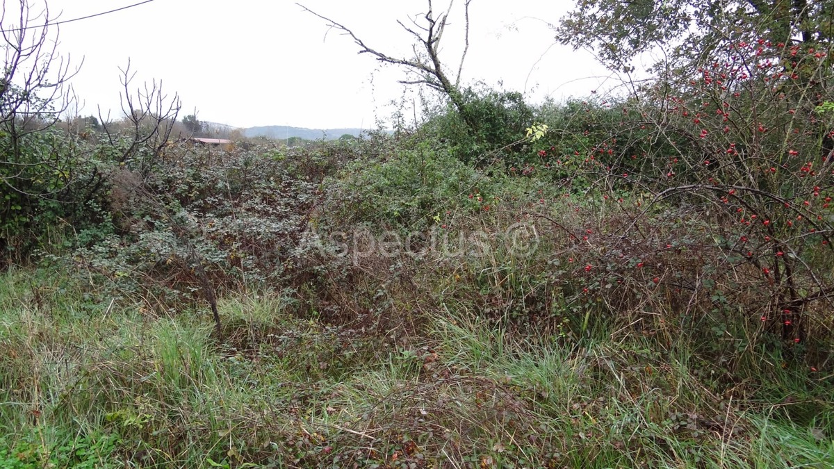 Rovinj građevinsko zemljište 6339m2 za poslovne namjene