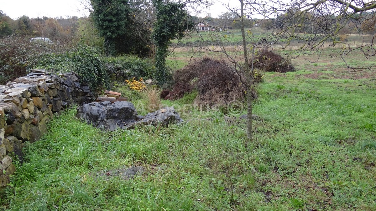 Rovinj građevinsko zemljište 6339m2 za poslovne namjene