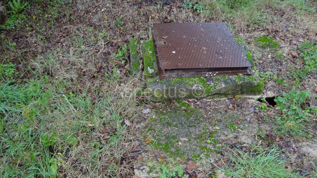 Rovinj građevinsko zemljište 6339m2 za poslovne namjene