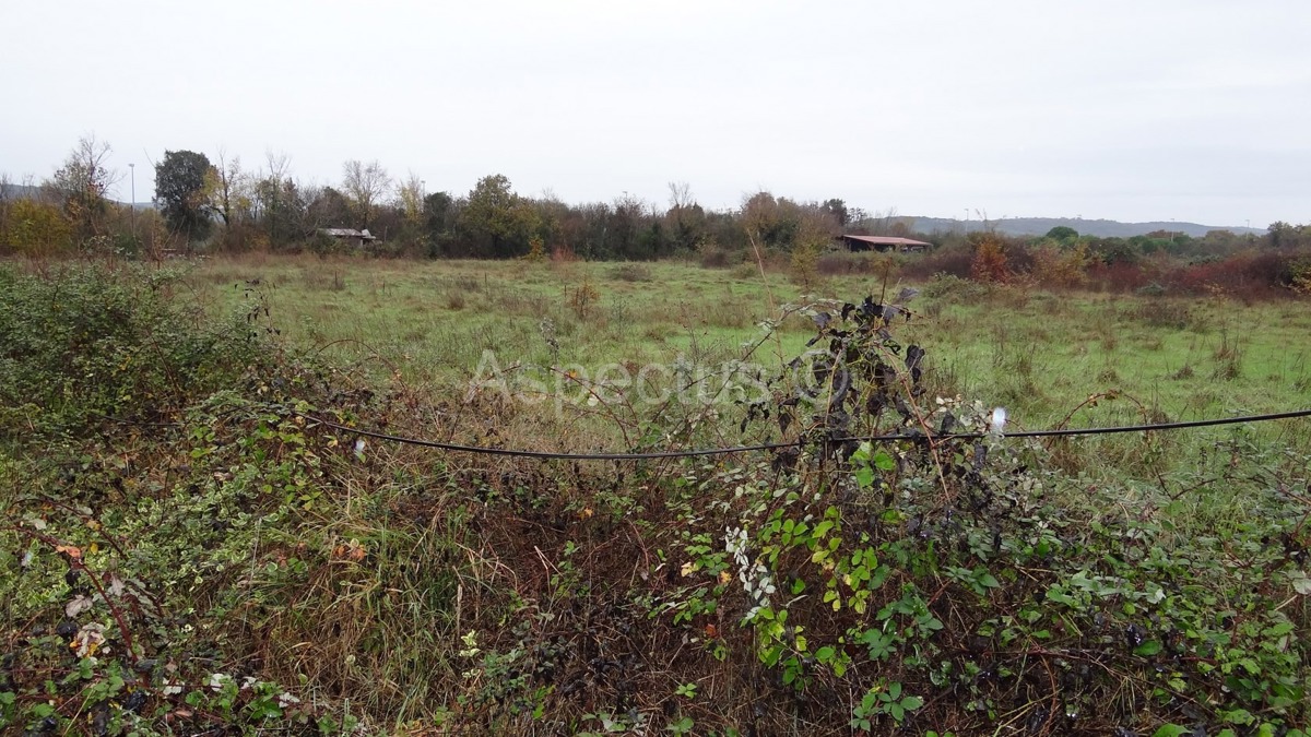 Rovinj građevinsko zemljište 6339m2 za poslovne namjene