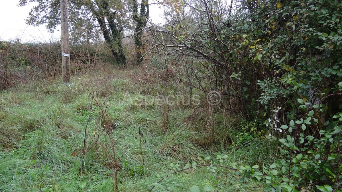 Rovinj građevinsko zemljište 6339m2 za poslovne namjene