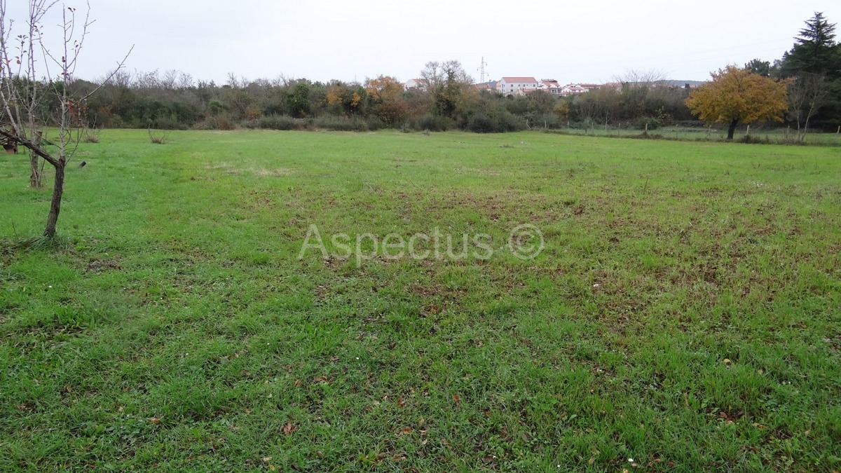 Višestambeno građevinsko zemljište 3900m2, Rovinj