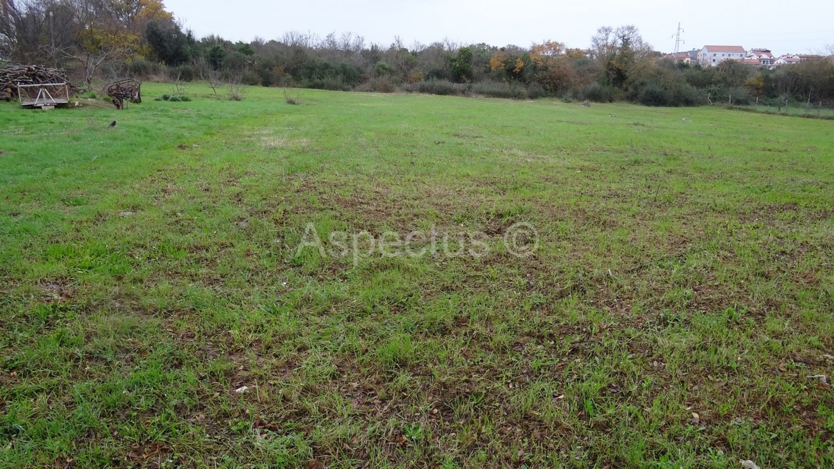 Višestambeno građevinsko zemljište 3900m2, Rovinj