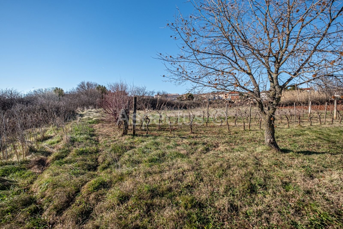 Terreno edificabile a 200 m dal centro di Marčana, Istria