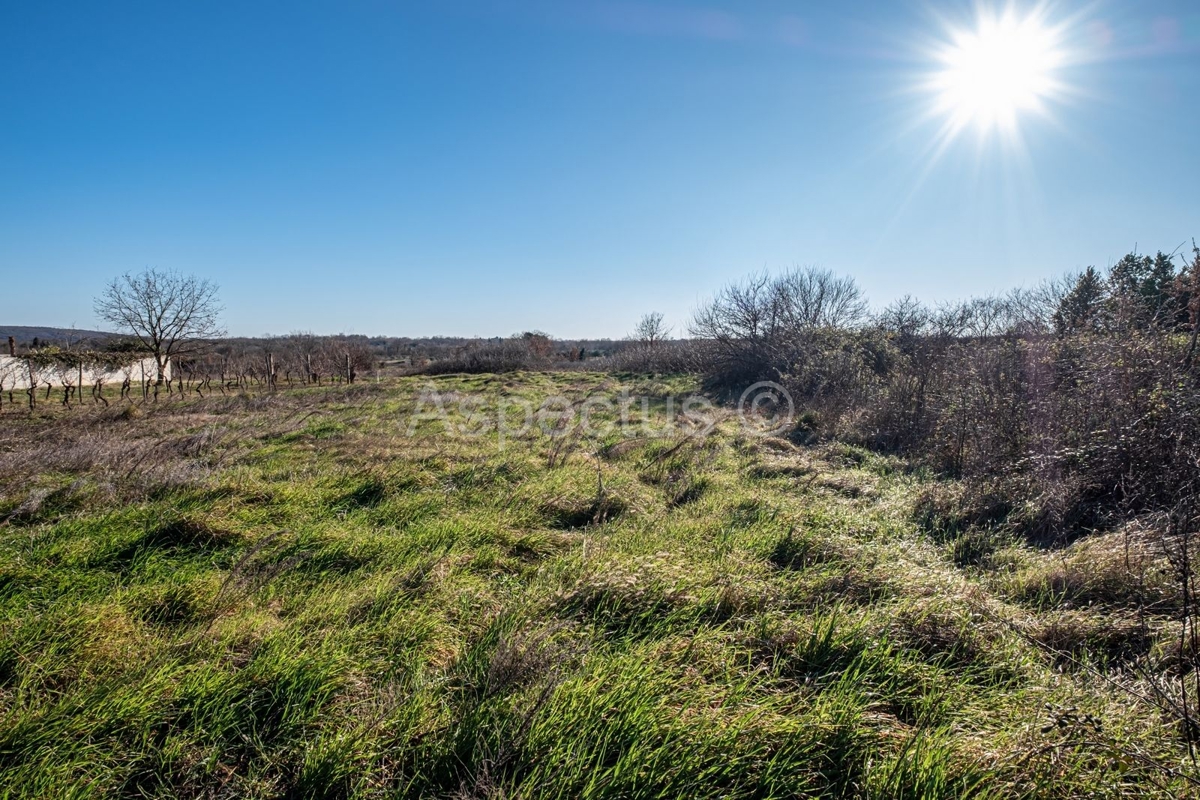 Terreno edificabile a 200 m dal centro di Marčana, Istria