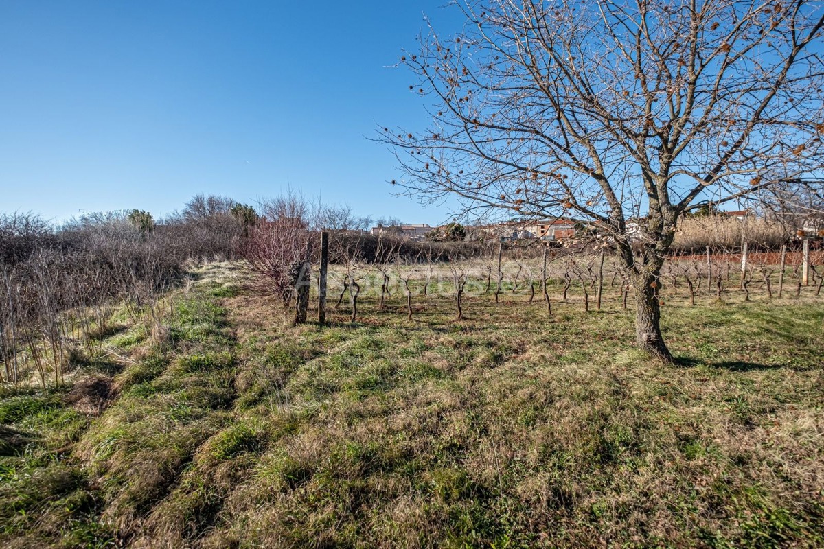 Terreno edificabile a 200 m dal centro di Marčana, Istria