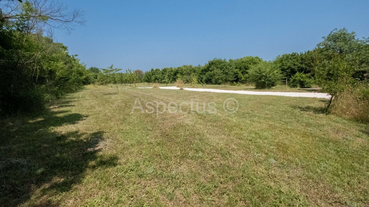 Terreno edificabile con progetto preliminare, Krnica | Istria