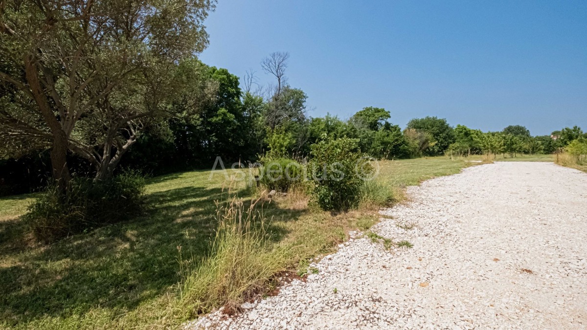 Terreno edificabile con progetto preliminare, Krnica | Istria