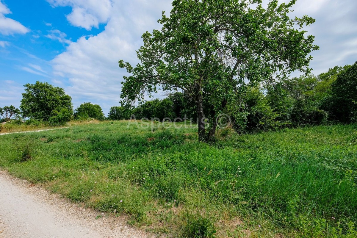 Terreno edificabile con permesso di costruzione per una casa familiare, vicino a Pola