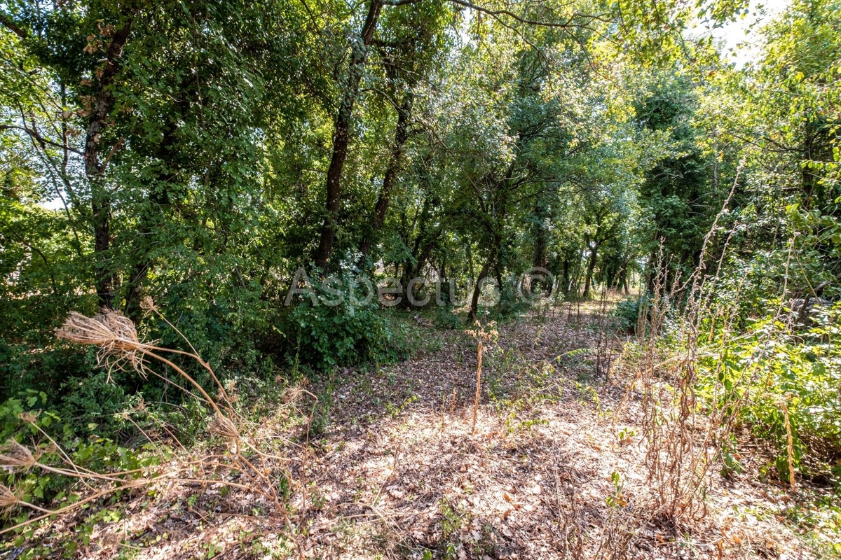 Terreno edificabile + terreno agricolo, vicino a Pola, nei pressi di Marčana