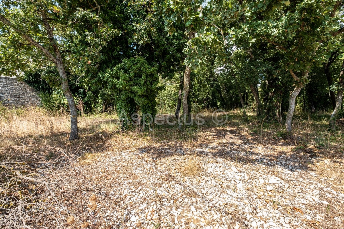 Terreno edificabile + terreno agricolo, vicino a Pola, nei pressi di Marčana