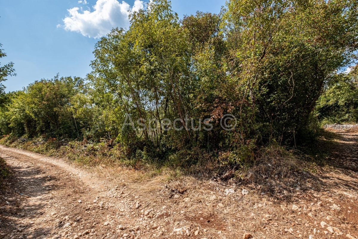 Terreno edificabile + terreno agricolo, vicino a Pola, nei pressi di Marčana