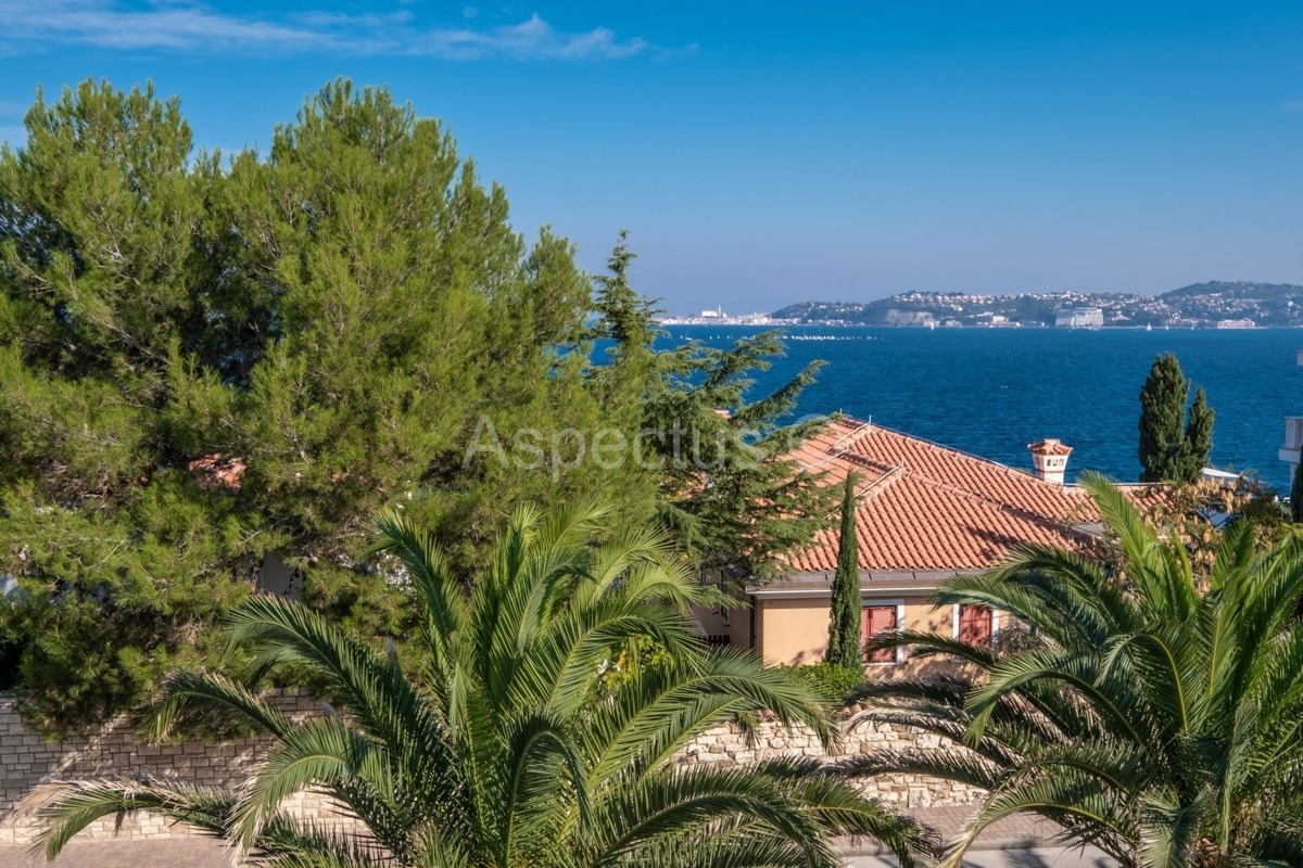 Apartman s pogledom na more, Umag