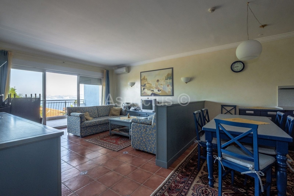 Apartman s pogledom na more, Umag