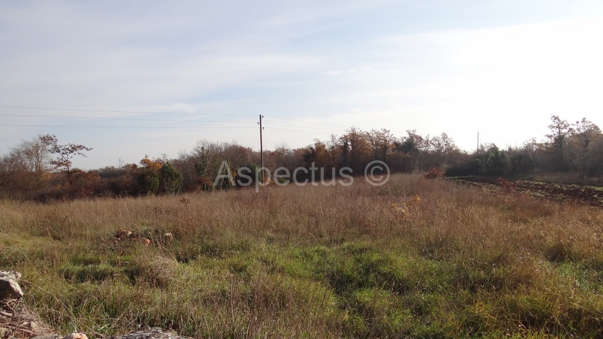 Juršići, terreno agricolo e edificabile 2.400 m2
