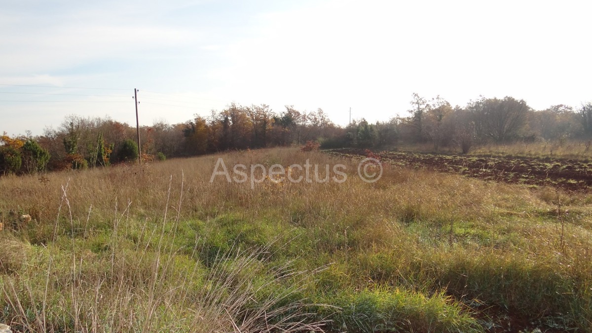 Juršići, terreno agricolo e edificabile 2.400 m2