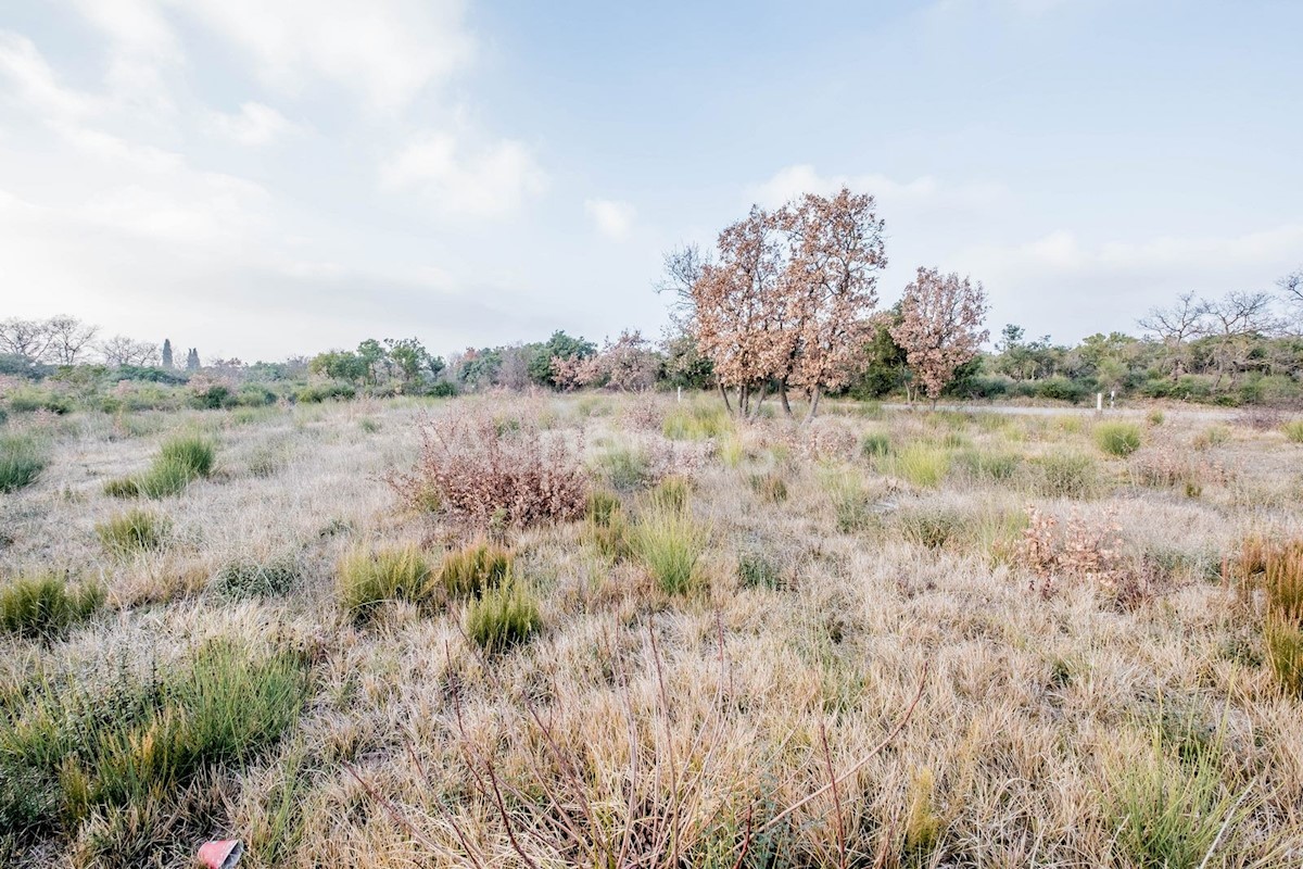 Terreno agricolo, vista mare, vicino a Dignano