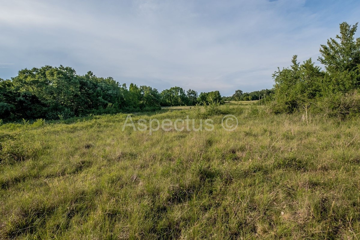 Terreno vicino al confine dell'urbanizzazione, Gradina, Orsera