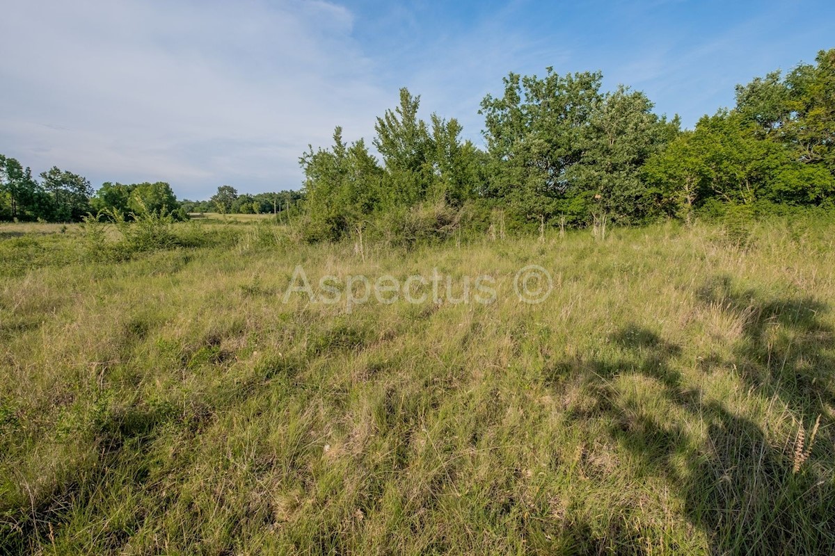 Terreno vicino al confine dell'urbanizzazione, Gradina, Orsera