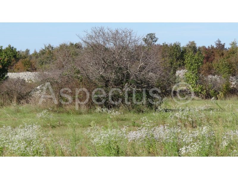 Vodnjan, terreno agricolo 3676m2