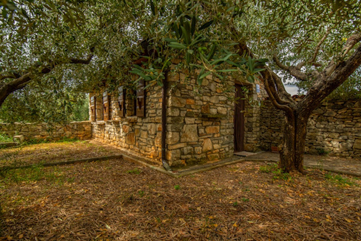 Complesso di case in pietra a Galižana