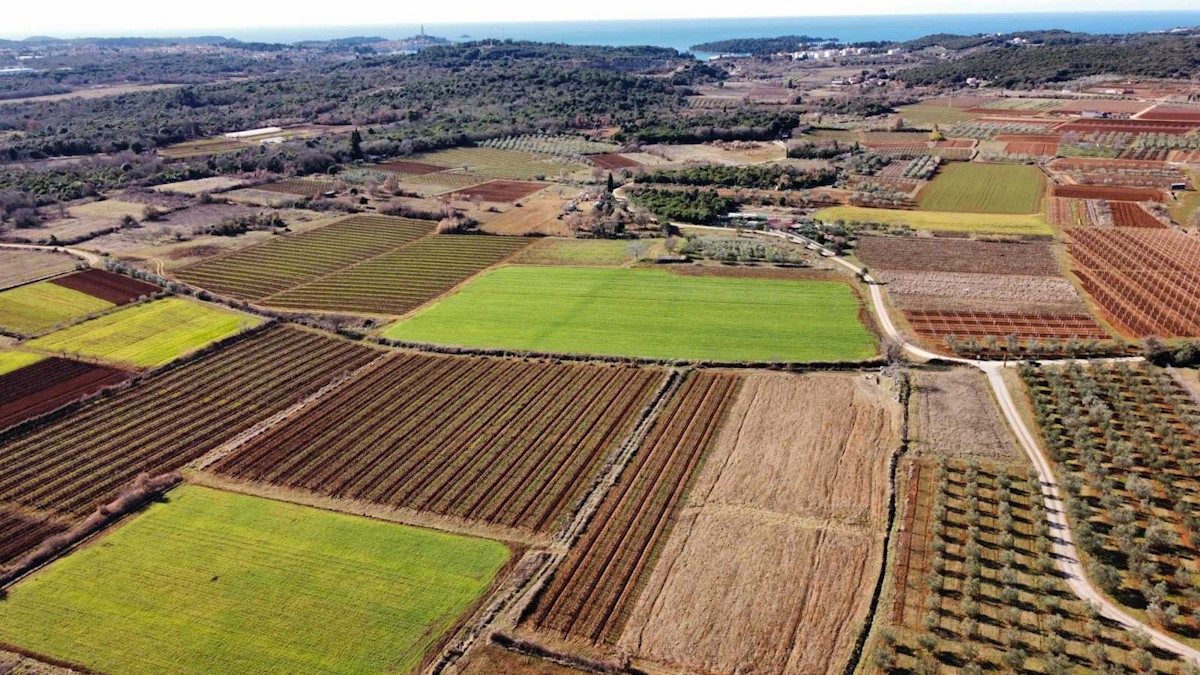 Terreno agricolo vicino a Rovigno