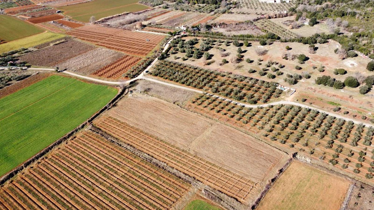 Terreno agricolo vicino a Rovigno