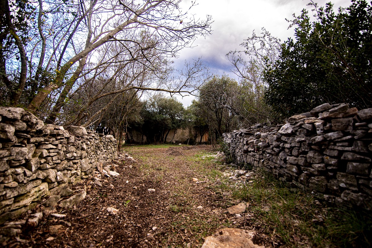 FAZANA - VODNJAN TERRENO EDIFICABILE TURISTICO