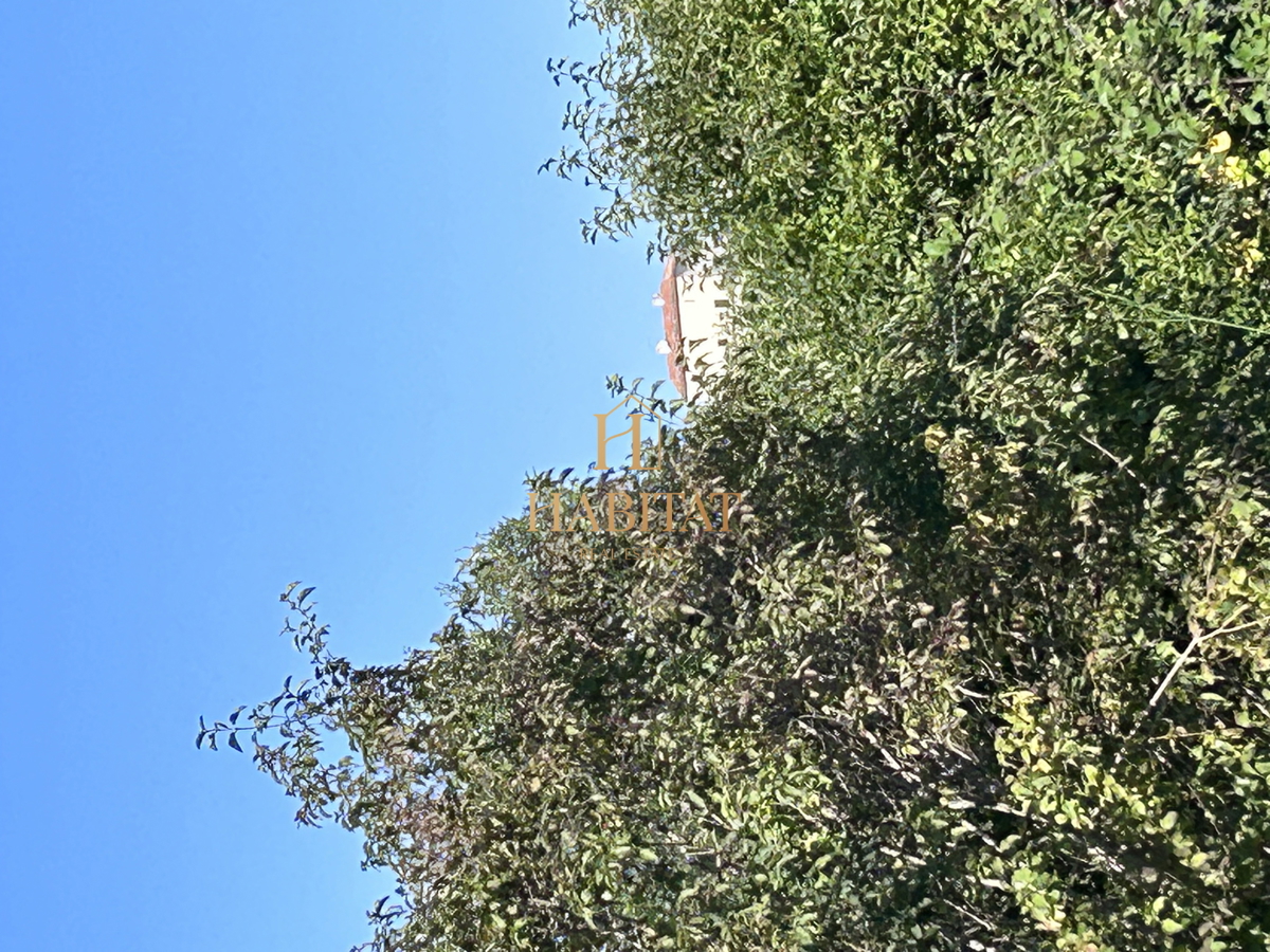 Istria, Krasica, 17.640 mq agricoli, frutteto, vigneto, bosco, rudere di 39 mq