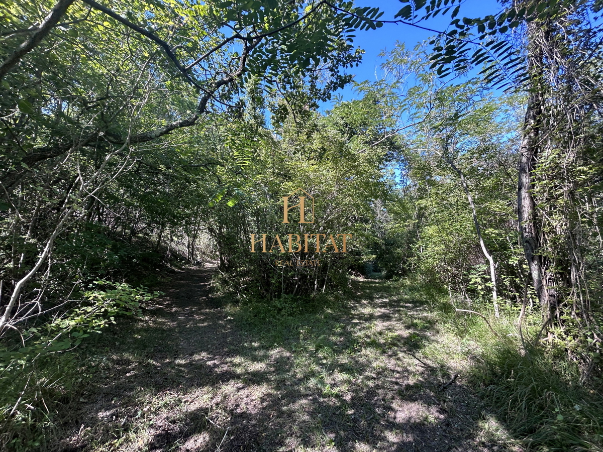 Istria, Krasica, 17.640 mq agricoli, frutteto, vigneto, bosco, rudere di 39 mq