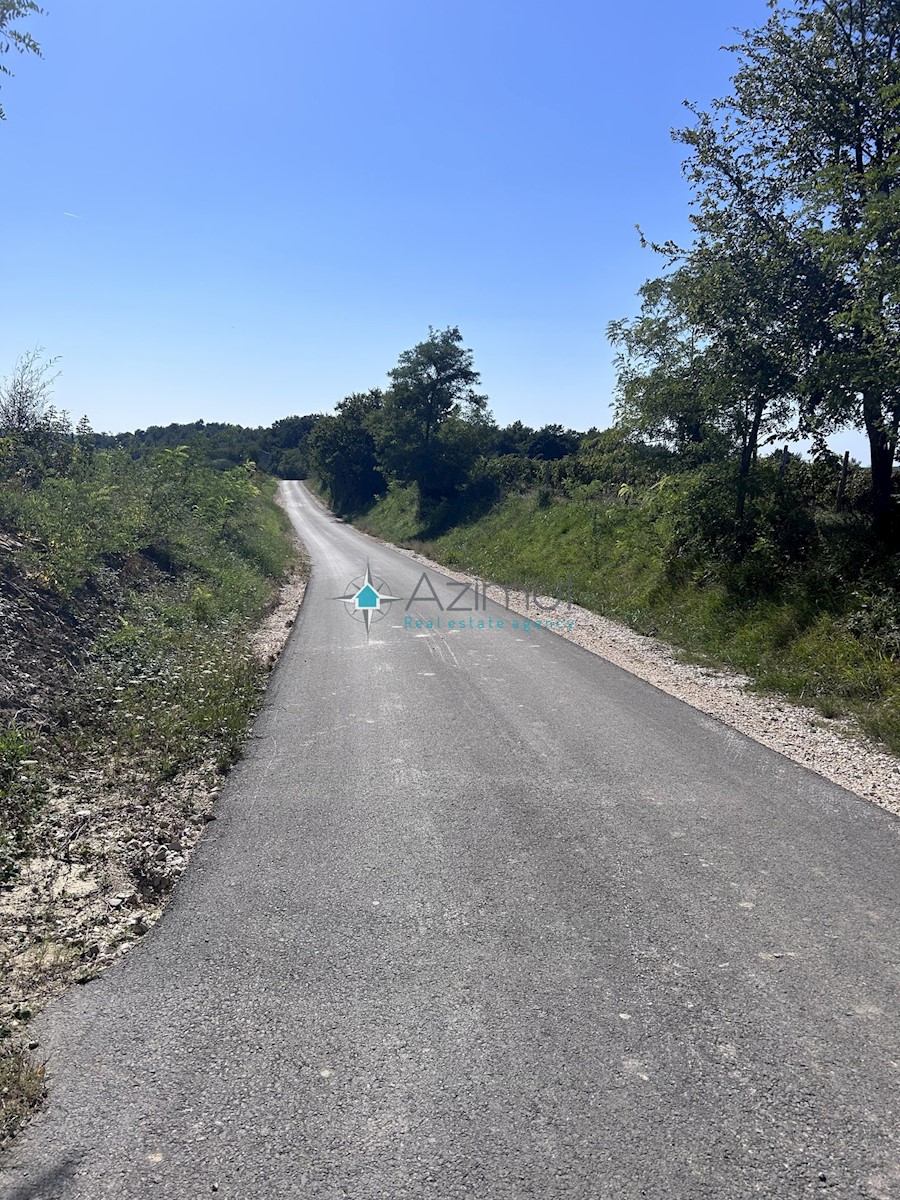 Istria, Krasica, 17.640 mq agricoli, frutteto, vigneto, bosco, rudere di 39 mq