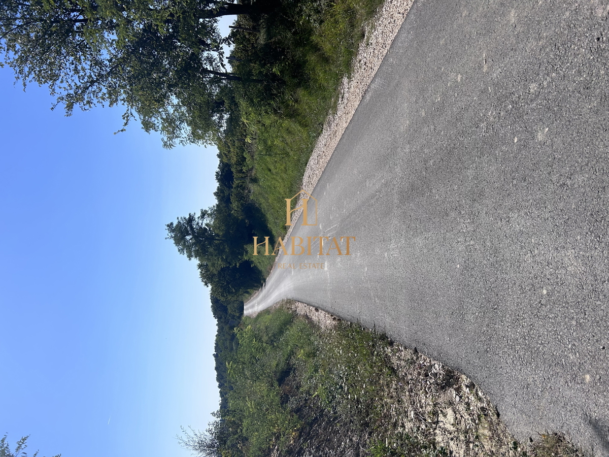 Istria, Krasica, 17.640 mq agricoli, frutteto, vigneto, bosco, rudere di 39 mq