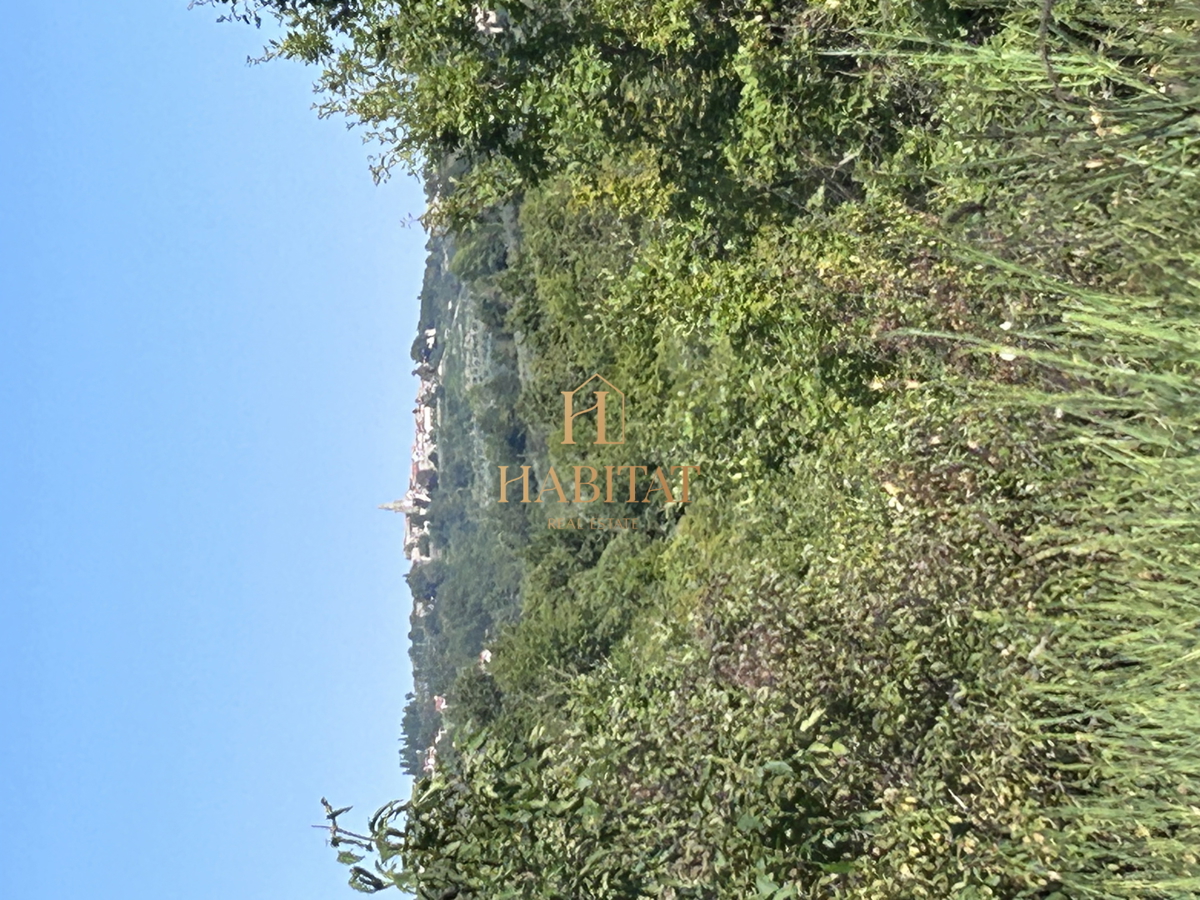 Istria, Krasica, 17.640 mq agricoli, frutteto, vigneto, bosco, rudere di 39 mq