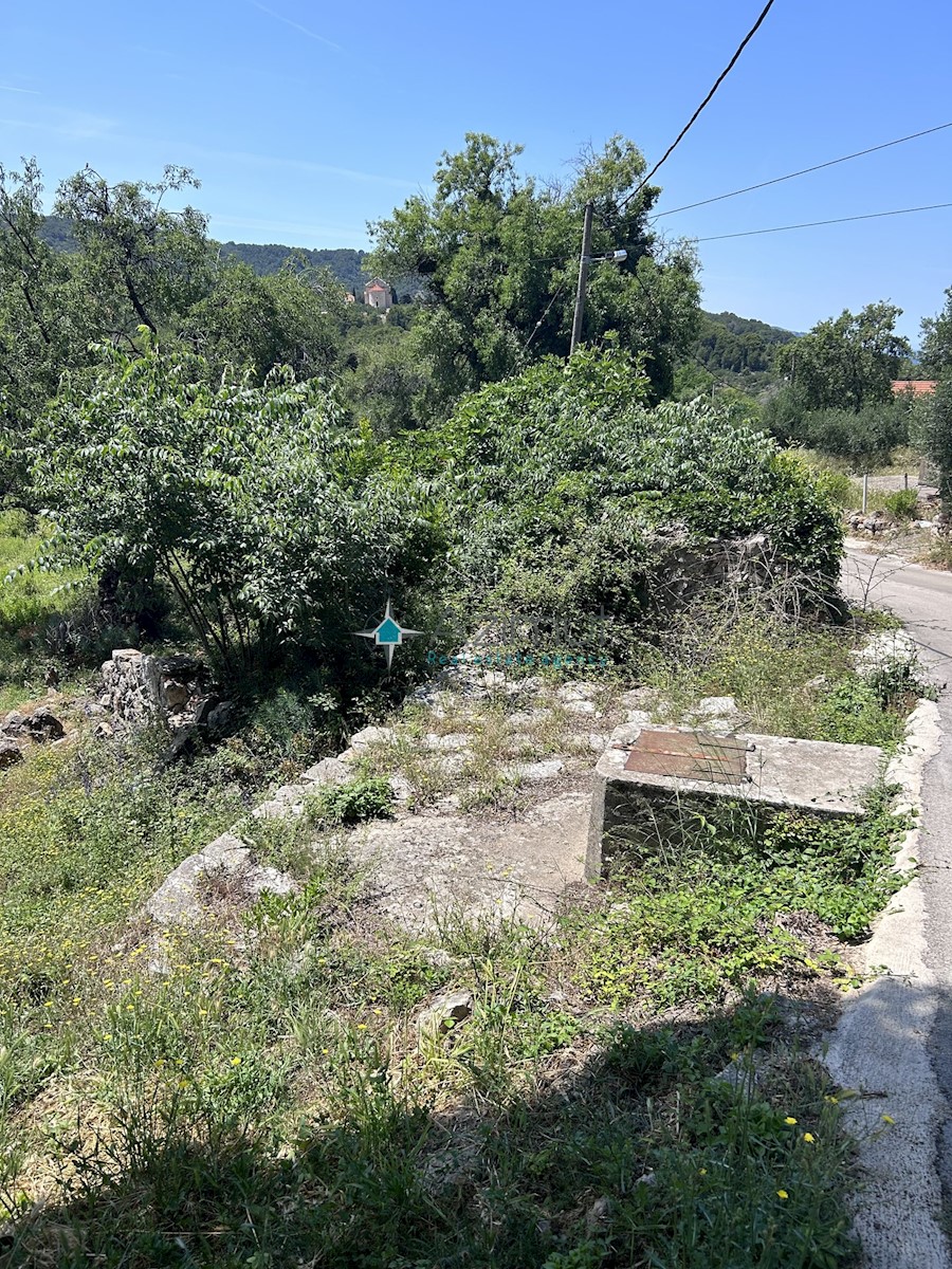 Dalmazia , Hvar , Dol Sv.Ana , casa 46m2 con terreno edificabile 650m2